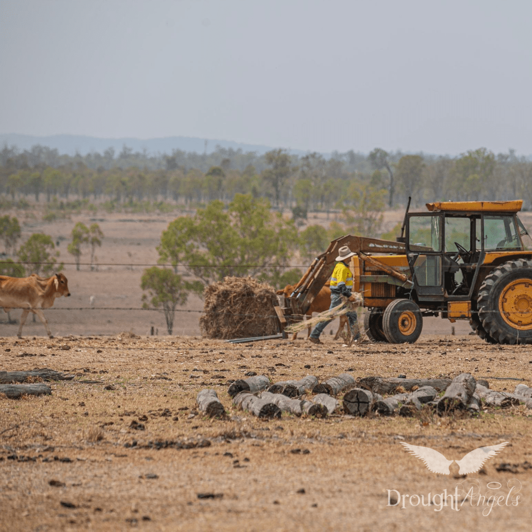 Tractor And Farmer